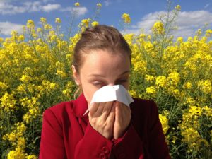 Surviving Allergy Season
